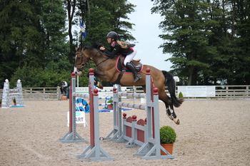 Squibb Group Pony Foxhunter Second Round at Bishop Burton College